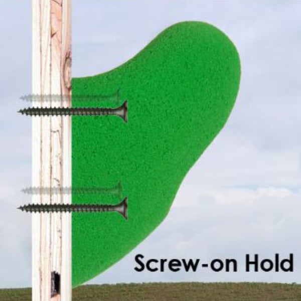screw-on climbing hold
