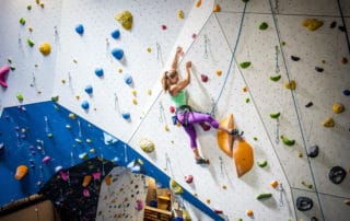 A typicial Artificial Top rope Climbing Wall shall include the following hardware_RMC