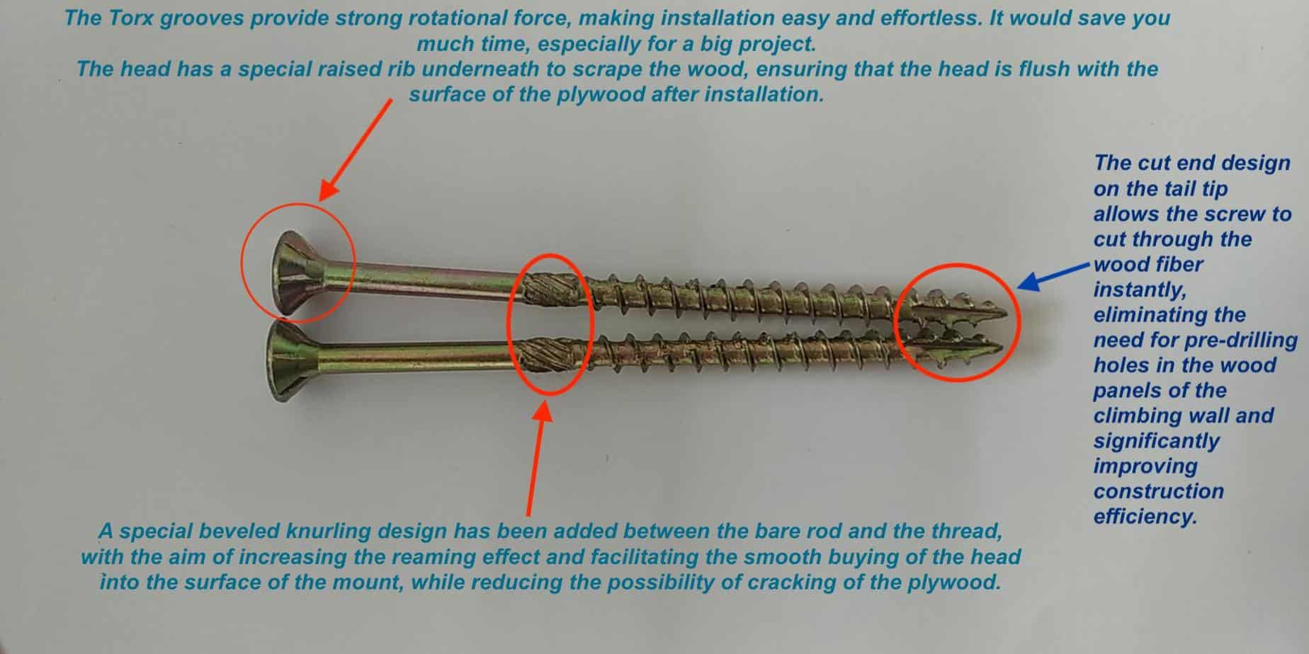 Most-Detailed-Advantages-of-Torx-Head-Wood-Screw_RMC